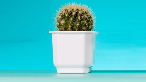 Разработка flash-баннеров компании «Базальт»